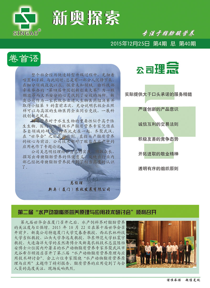 2025新奥正版免费资料|全面释义解释落实