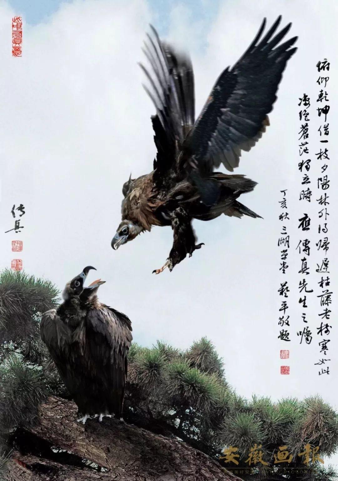 快评 第383页