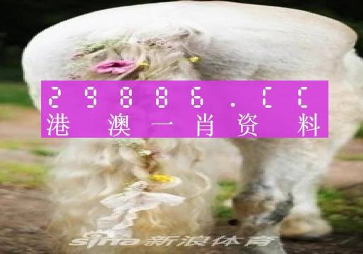 二四六全年精准一肖一码资料246cn香港|词语释义解释落实