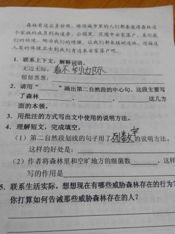 新澳全年资料免费资料大全|词语释义解释落实