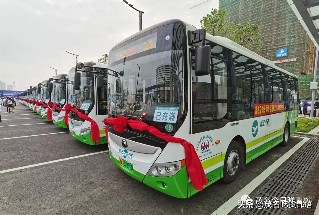 电白水东最新地皮信息