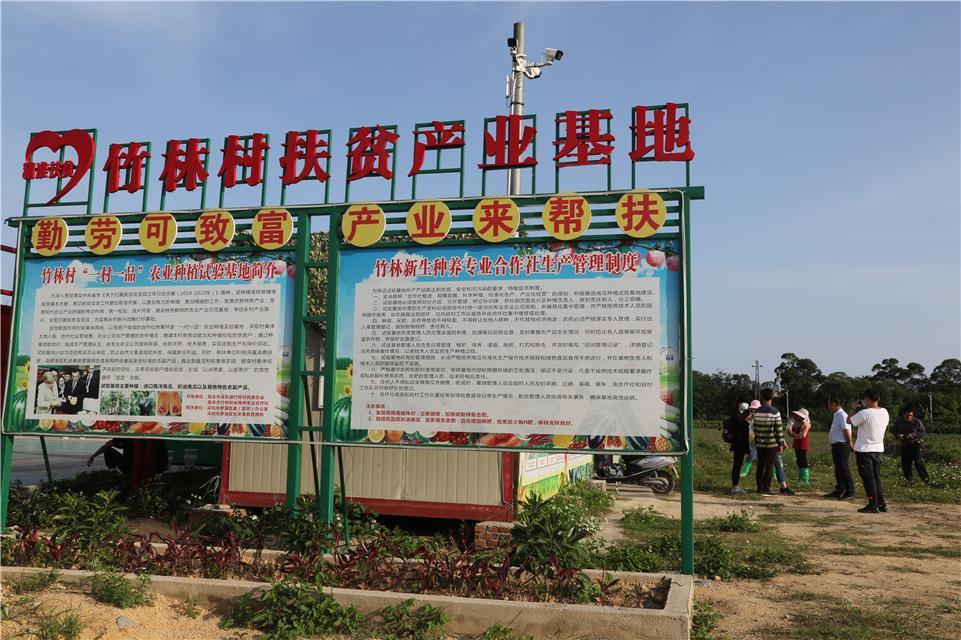 陆丰市湖东镇最新事件