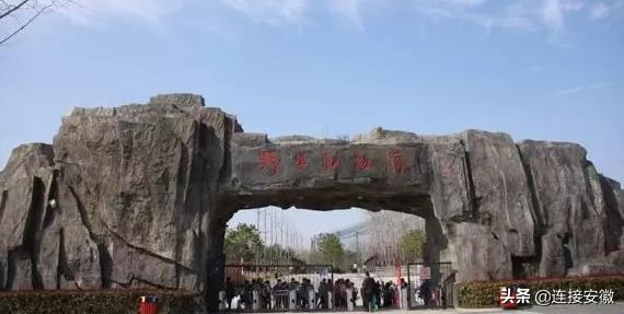 长春野生动物园最新消息