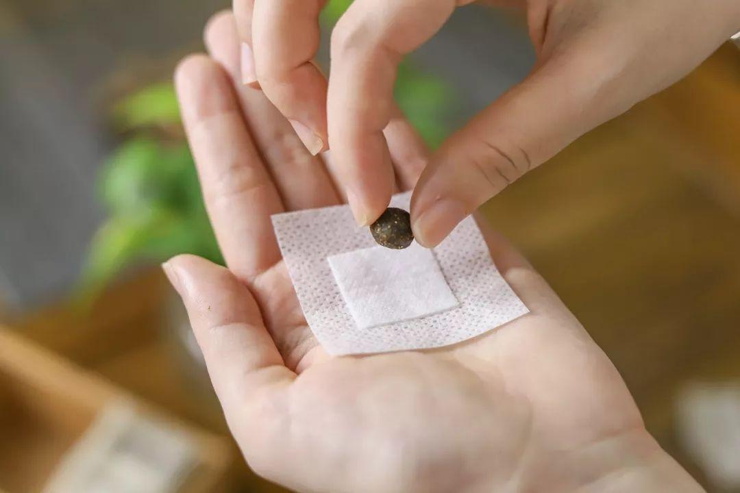 新的中医药法最新消息