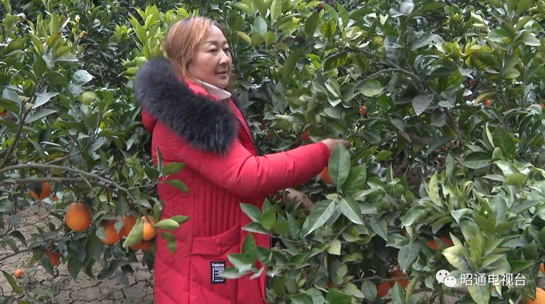 昭永二级路最新消息