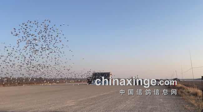 陕西秦都公棚最新公告