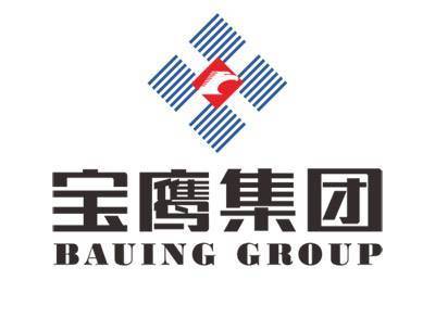 宝鹰股份增发最新消息