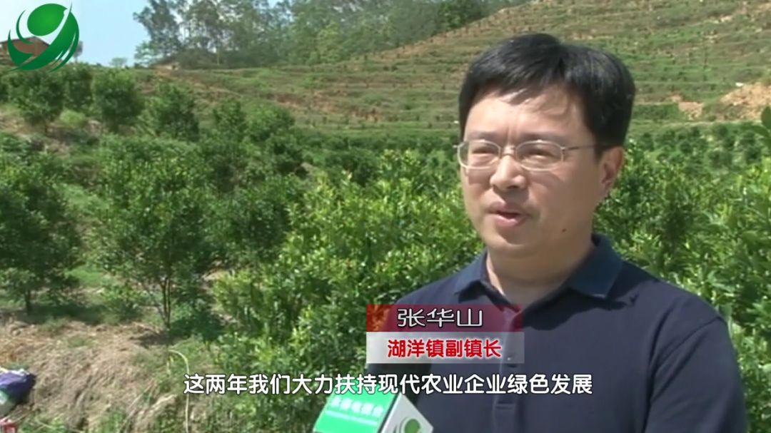 闽南人才网最新招聘信息