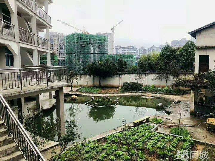 桑植二手房最新消息
