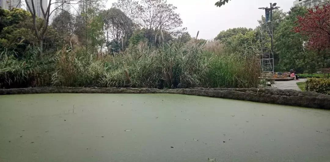 厌氧微生物学最新的书