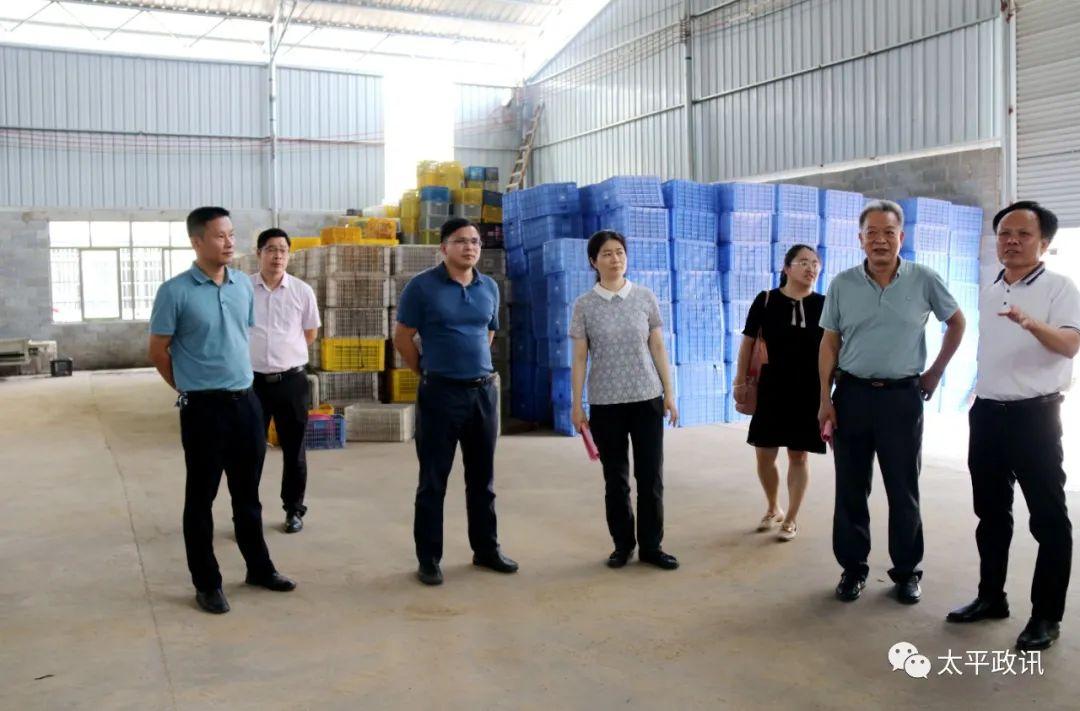 杰丰果业最新消息