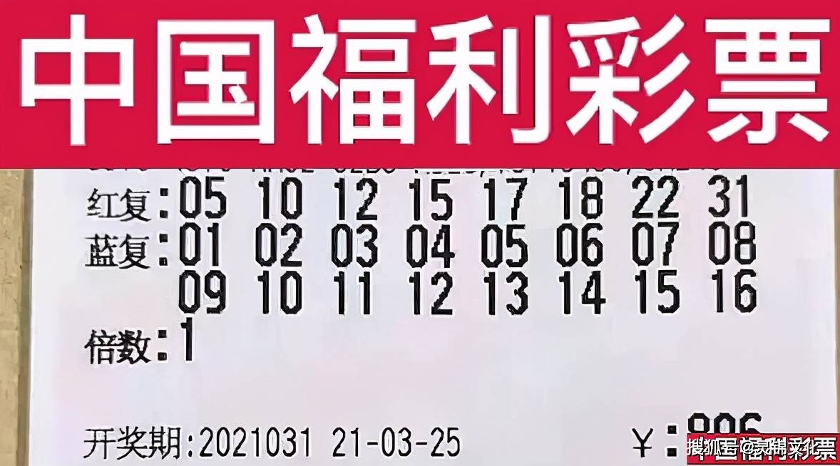 2025新奥历史开奖记录28期,揭秘新奥历史开奖记录，第28期的独特魅力与未来展望（以关键词新奥历史、开奖记录、第28期为核心）