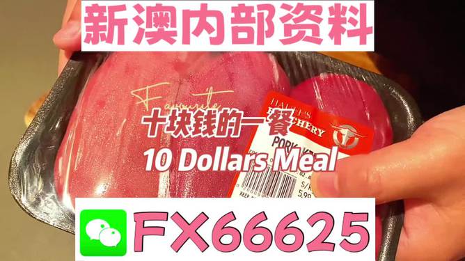 新澳精准资料免费提供4949期,新澳精准资料免费提供，揭秘第4949期的秘密与机遇