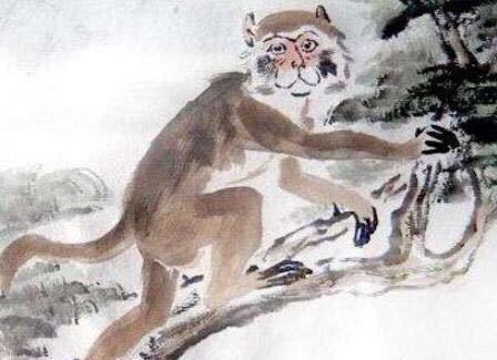 四不像今晚出什么生肖,揭秘四不像与生肖的神秘关联——今晚会出什么生肖？