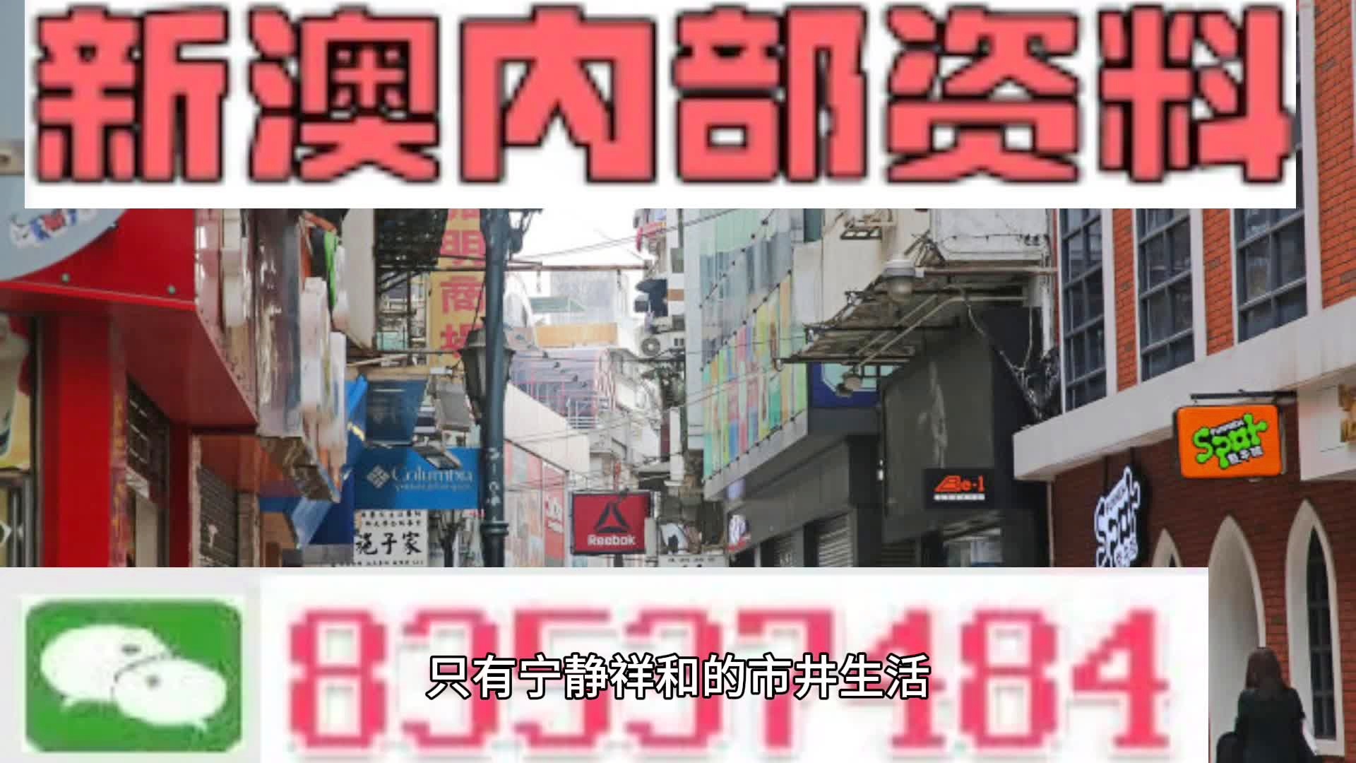 新奥门正版资料最新版本更新内容,新澳门正版资料最新版本更新内容深度解析
