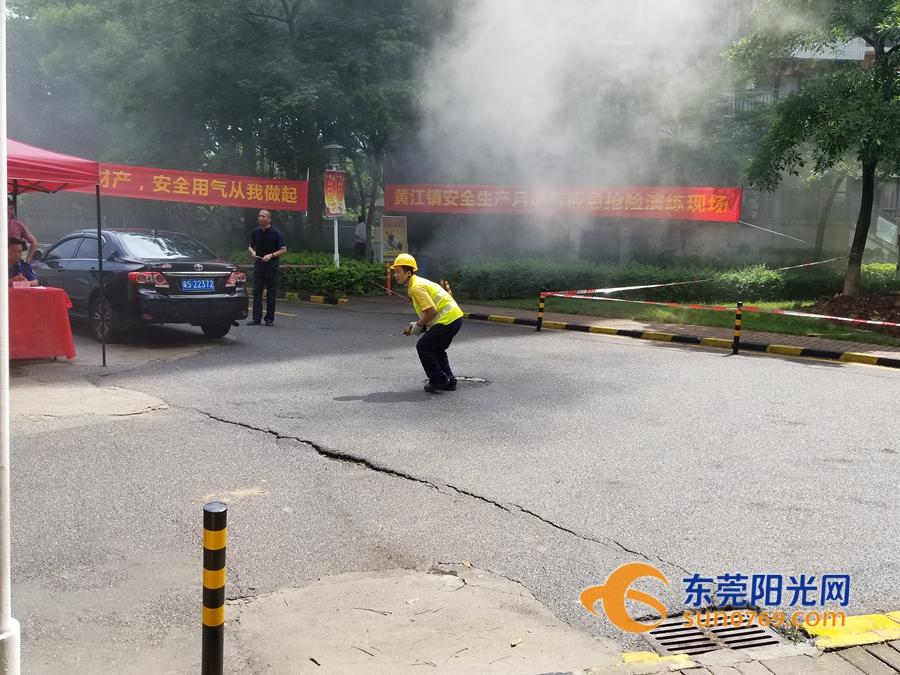 新奥长期免费资料大全,新奥长期免费资料大全，深度挖掘与探索