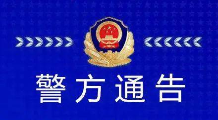 新澳门彩出码综合走势,新澳门彩出码综合走势与违法犯罪问题探讨