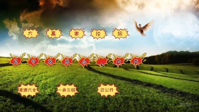 4949澳门天彩艺术全年免费资料,澳门天彩艺术，全年免费资料的探索与赏析