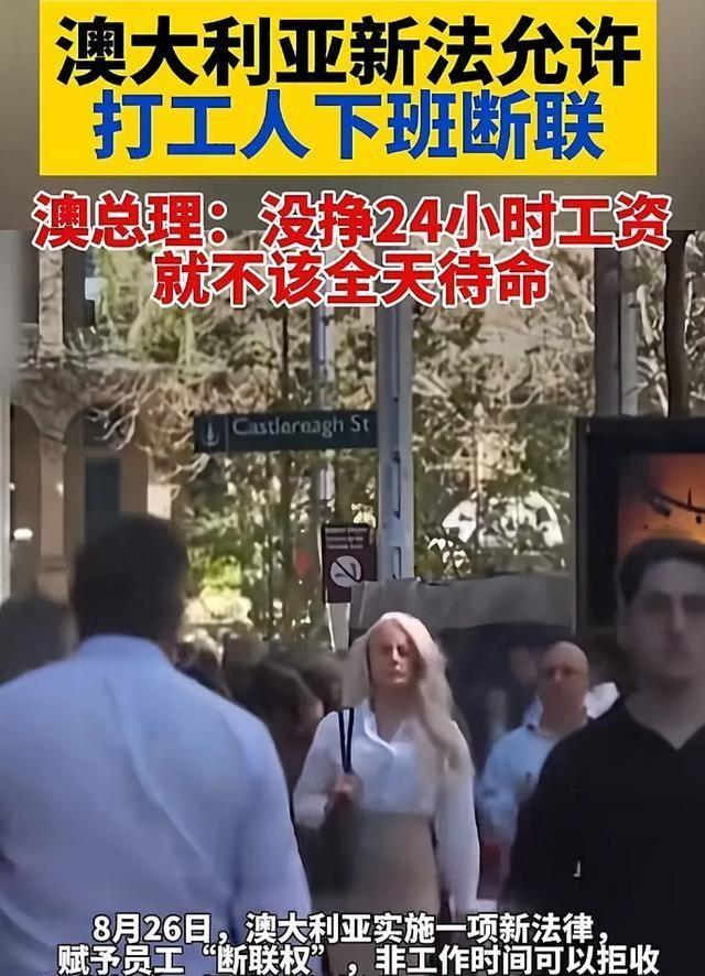 百科 第224页