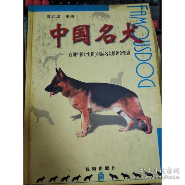 2025正版四不像图解特肖下载,探索正版四不像图解特肖——一种独特的文化现象解读与下载指南
