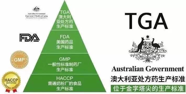 2025新澳全年资料,探索未来，2025新澳全年资料概览