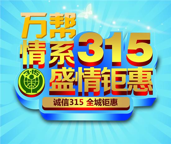 管家婆精准资料免费大全315期,探索管家婆精准资料免费大全315期，揭秘背后的故事与价值