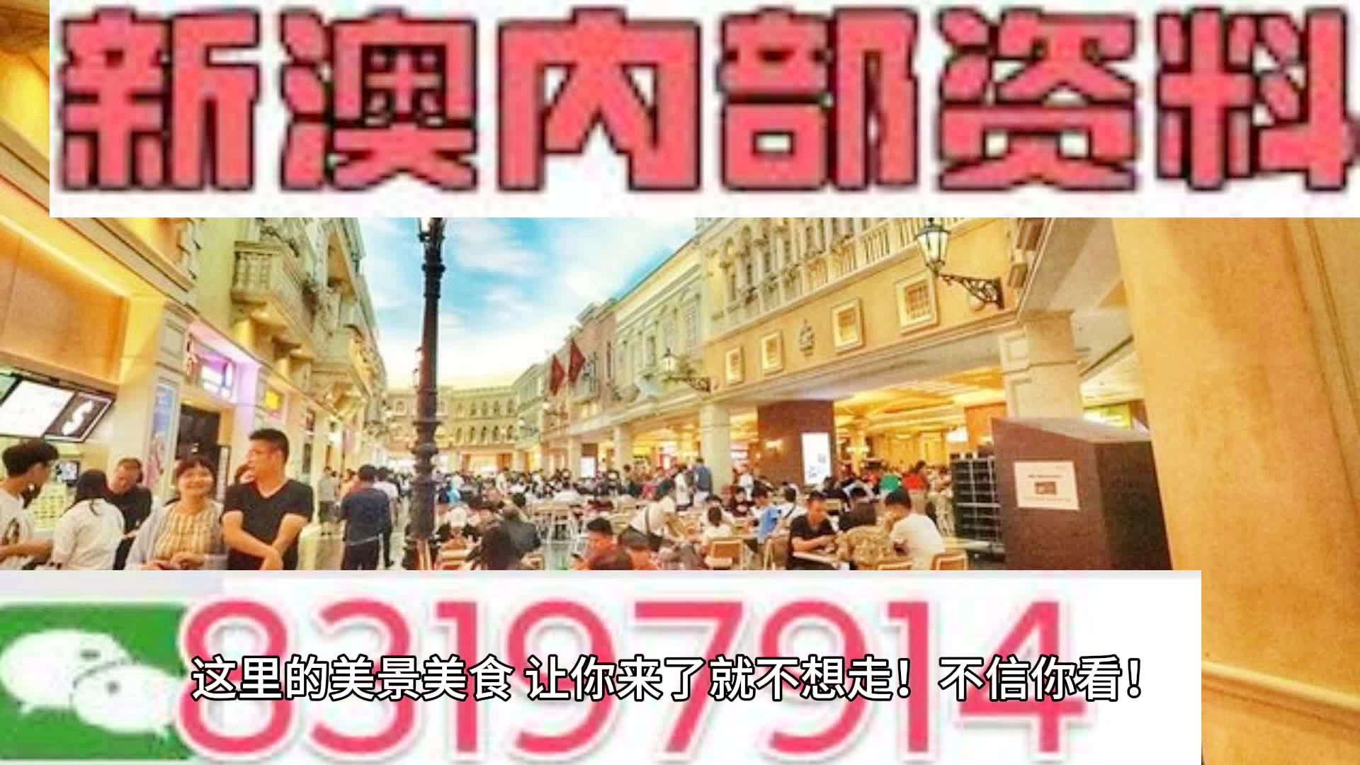 澳门内部王中王精准资料,澳门内部王中王精准资料解析