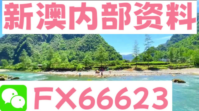 新澳内部资料精准一码,新澳内部资料精准一码，揭秘与探索