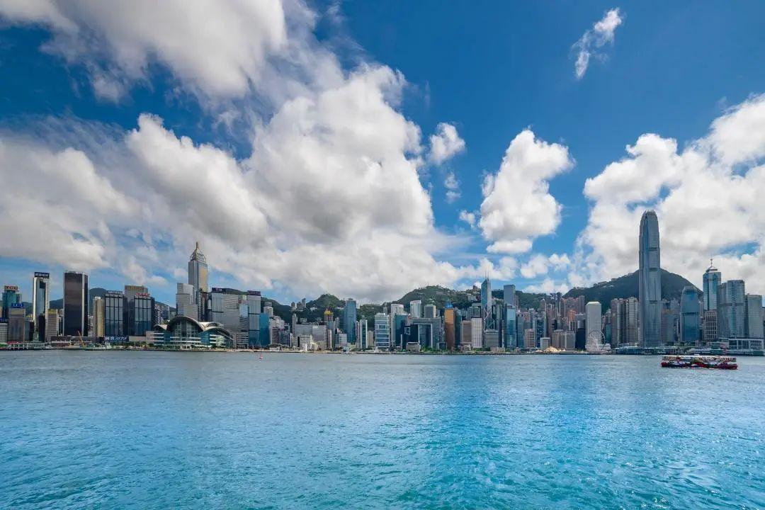 新澳门一码最精准的网站,探索新澳门一码最精准的网站