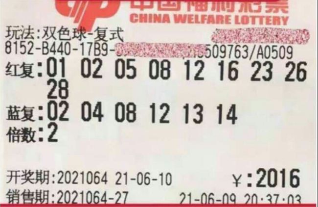 2025澳门特马今晚开奖结果,澳门特马今晚开奖结果揭晓，期待与惊喜交织的夜晚