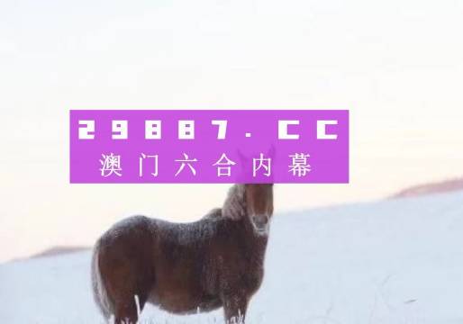 香港王中王0149站网,香港王中王0149站网，探索与解析