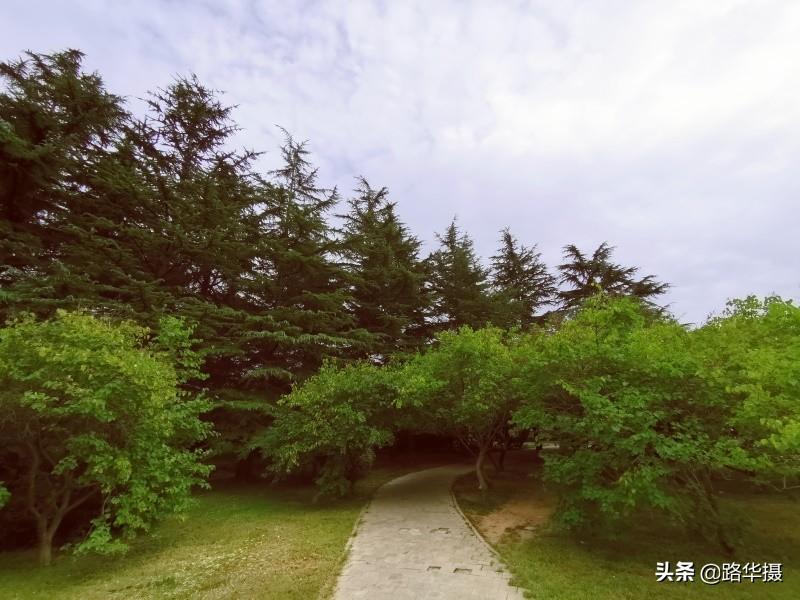 刘伯温免费全部资料大公开,刘伯温免费全部资料大公开，探寻神秘人物的历史足迹