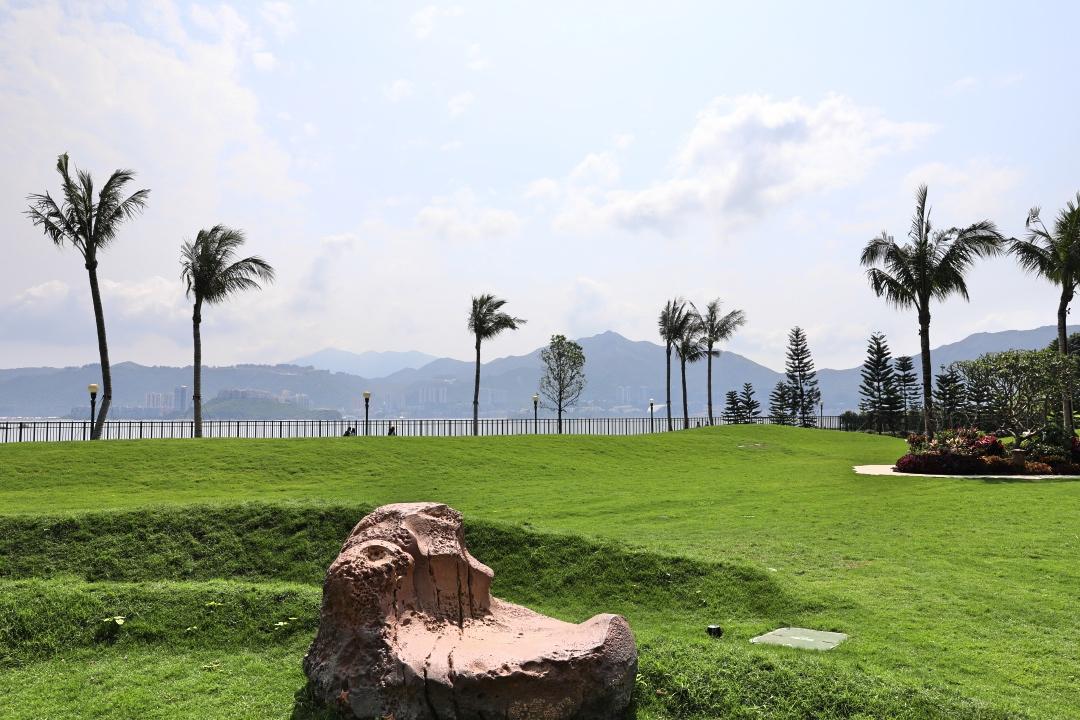 香港正版免费大全资料,香港正版免费大全资料，探索与解析