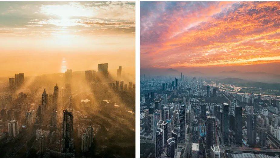 2025澳门天天开好彩挂牌,澳门彩票文化，探索未来的天天开好彩挂牌之路（2025展望）