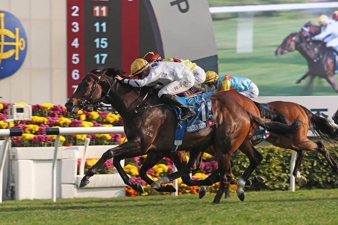 2025香港今期开奖号码马会,关于香港马会彩票开奖号码的预测与探讨——以2025年为例