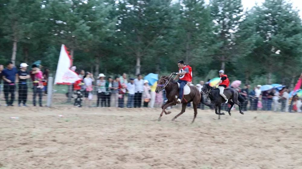 今天澳门晚上出什么马,探索澳门赛马文化，今晚赛场的骏马风采