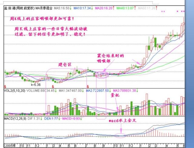 2025今晚澳门开特马开什么,探索未知，今晚澳门特马的开奖奥秘（2025年）