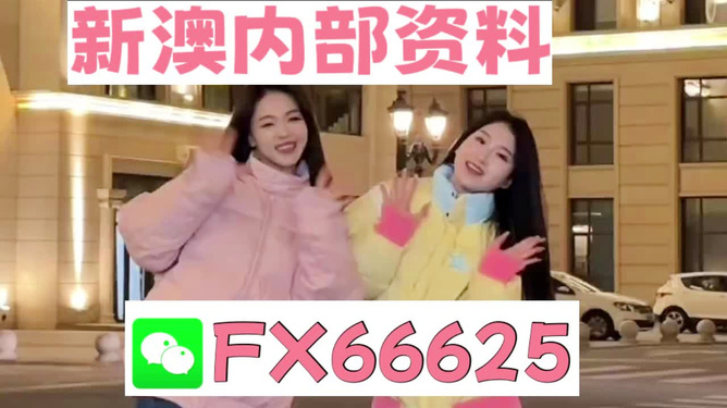 管家婆一码一肖资料大全,管家婆一码一肖资料大全，深度解析与实用指南