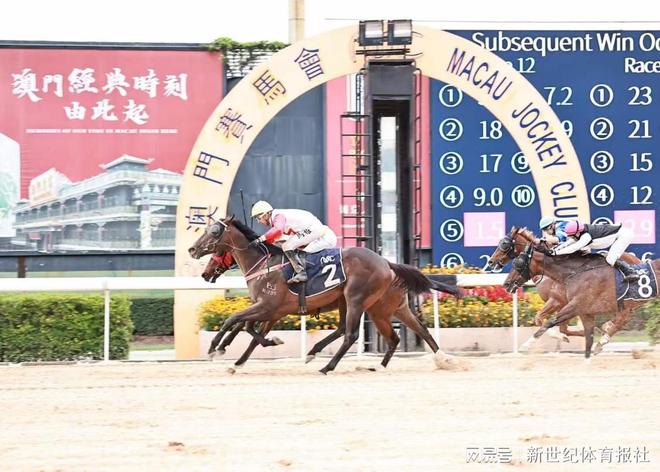 澳门特马王中王中王,澳门特马王中王中王，历史、文化、与现代的交融