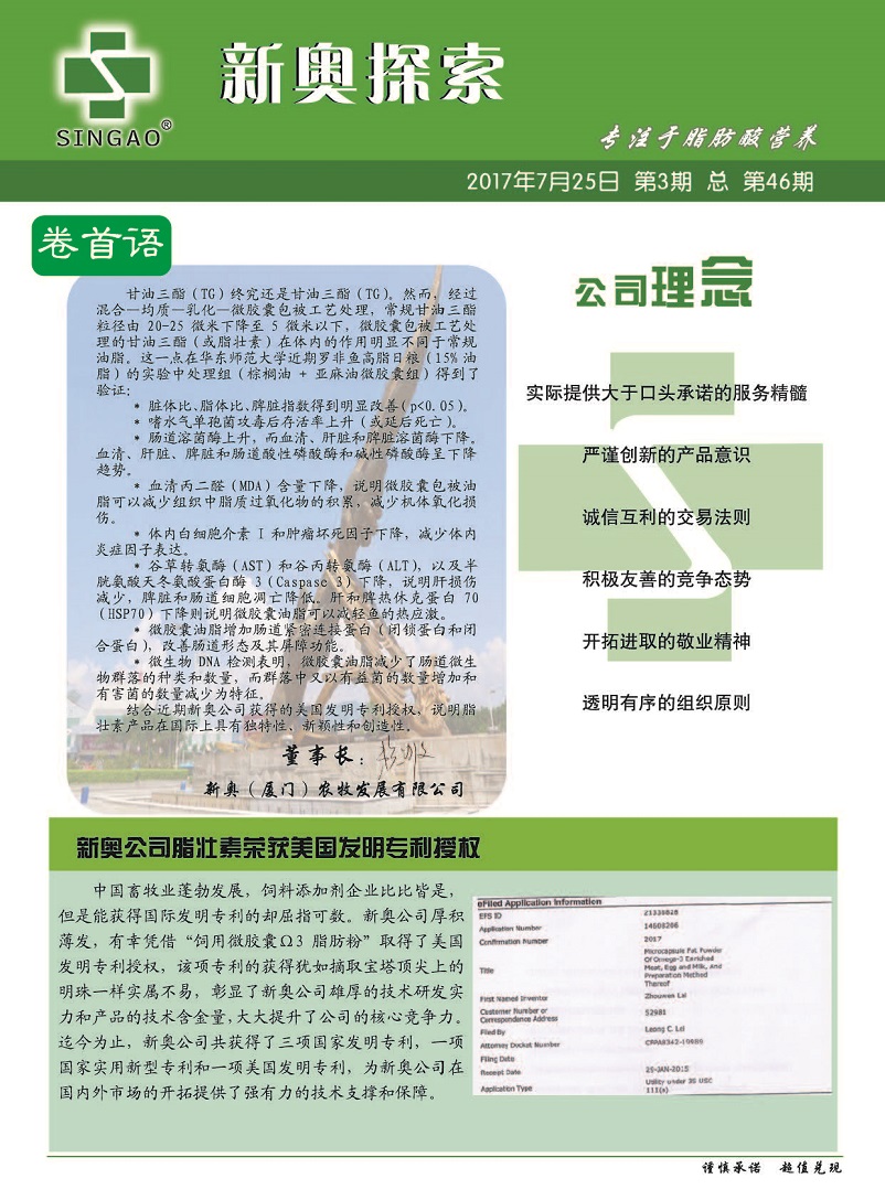 正版资料免费资料,正版资料与免费资料的探索之旅