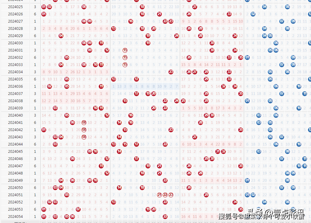 新澳门六开彩开奖结果2020年,新澳门六开彩开奖结果2020年回顾与展望