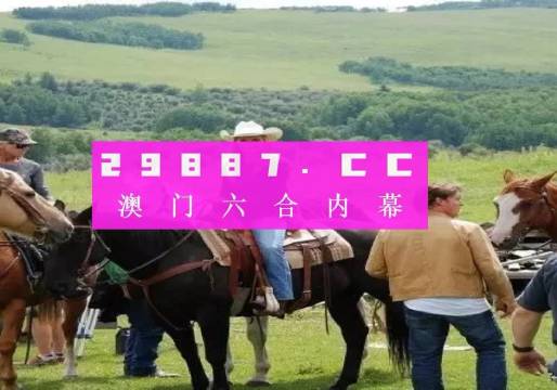 澳门正版一肖一码,澳门正版一肖一码，探索与解读
