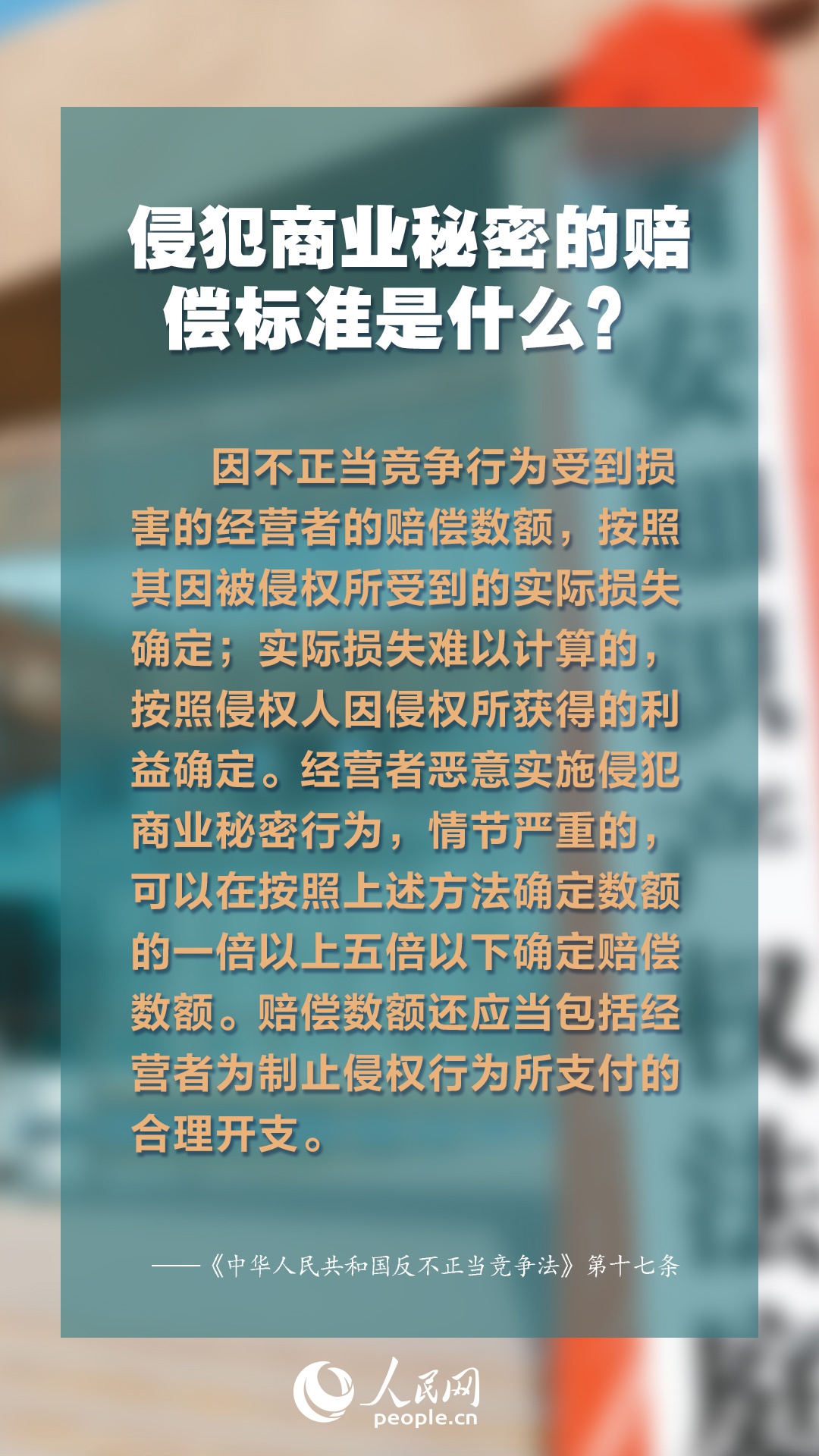2025年正版资料免费大全最新版本更新时间,探索未来知识宝库，2025正版资料免费大全最新更新动态