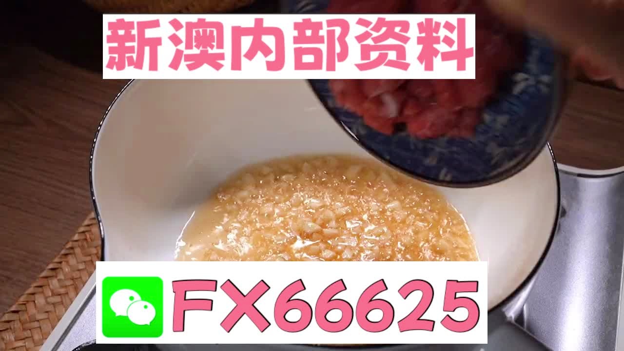 澳门中特网的网站,澳门中特网网站的发展与影响