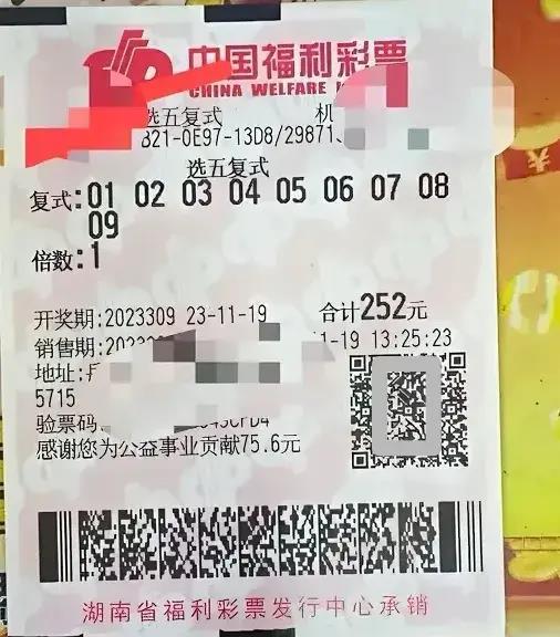 白小姐今晚特马期期准六,白小姐今晚特马期期准六，神秘与魅力的交织