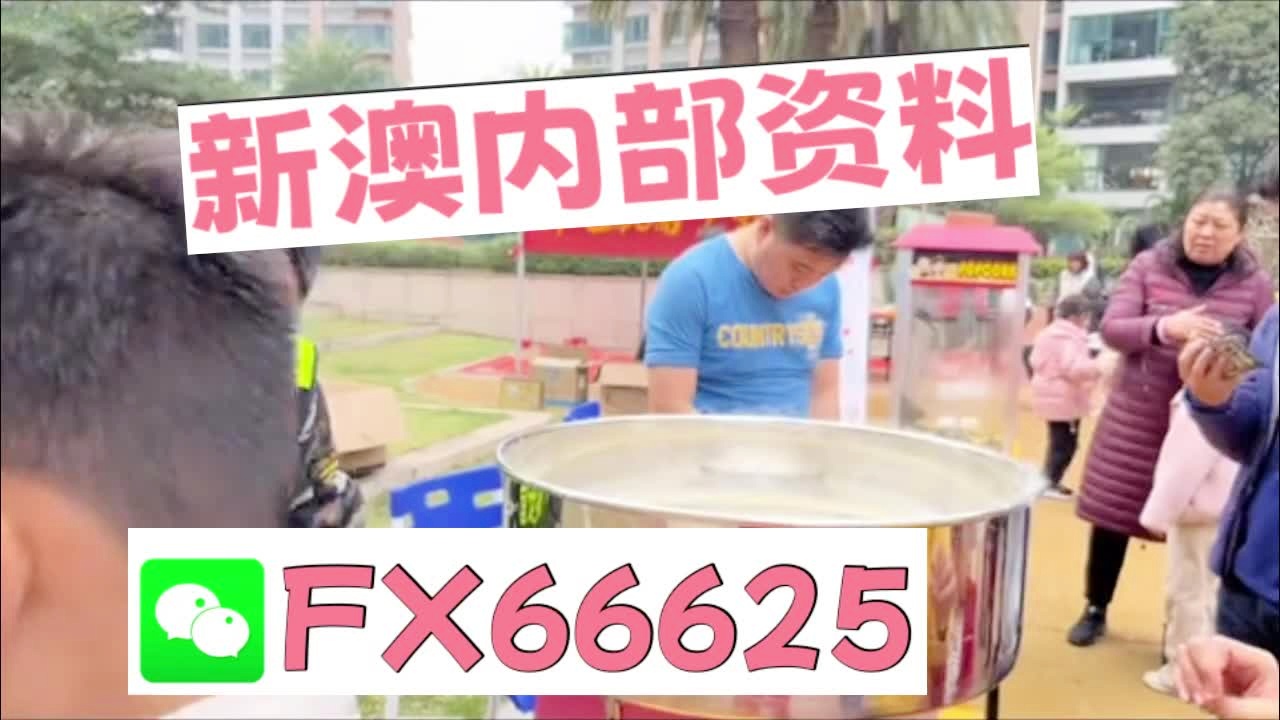 新澳天天彩资料大全最新版本,新澳天天彩资料大全最新版本