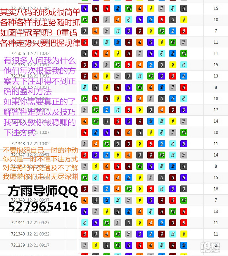 白小姐正版四肖八码,白小姐正版四肖八码，揭秘彩票背后的秘密