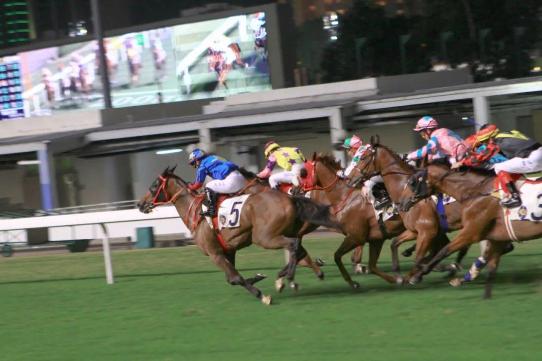 2025香港正版资料免费大全精准,探索香港正版资料大全，精准获取免费资源的指南（2025版）