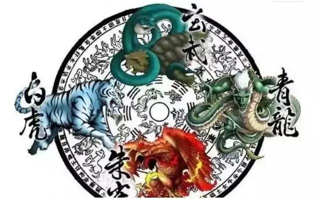 澳门白虎玄机精准玄武,澳门白虎玄机与玄武精准解读