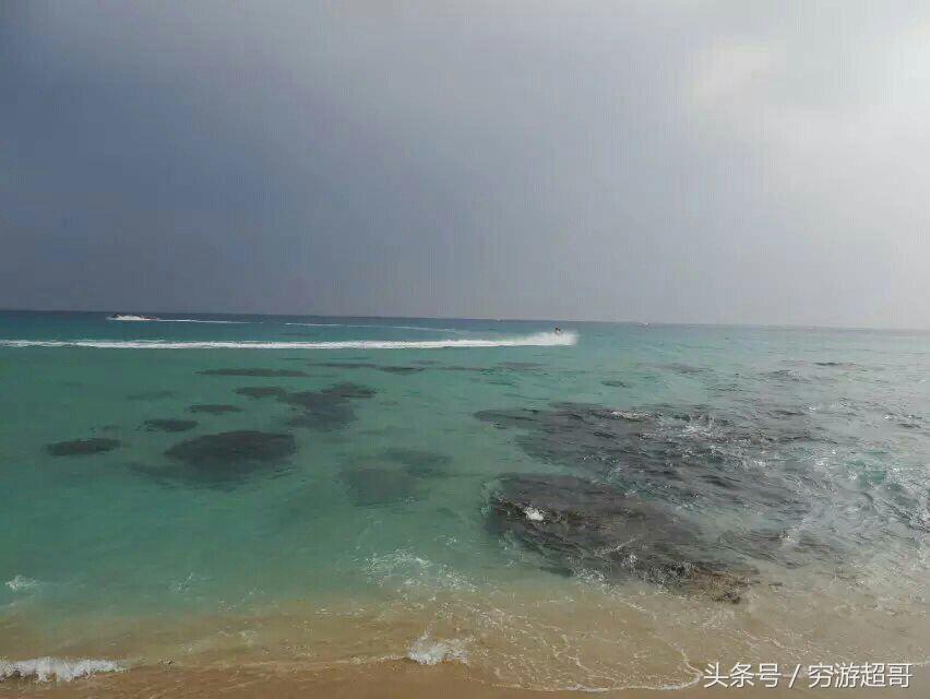 白小姐正版四不像中特小说,白小姐正版四不像中特小说，奇幻冒险之旅